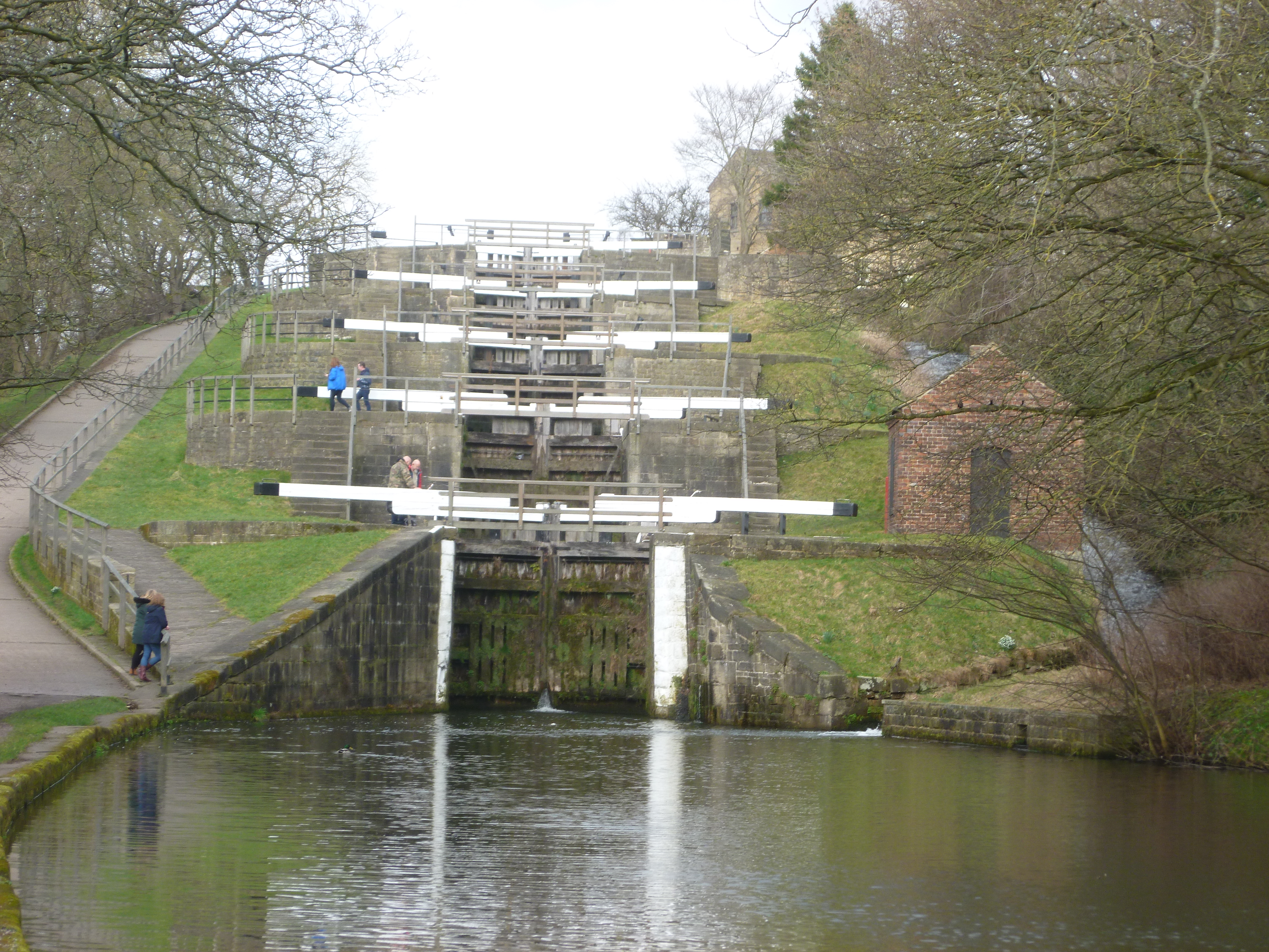 Bingley Five Rise